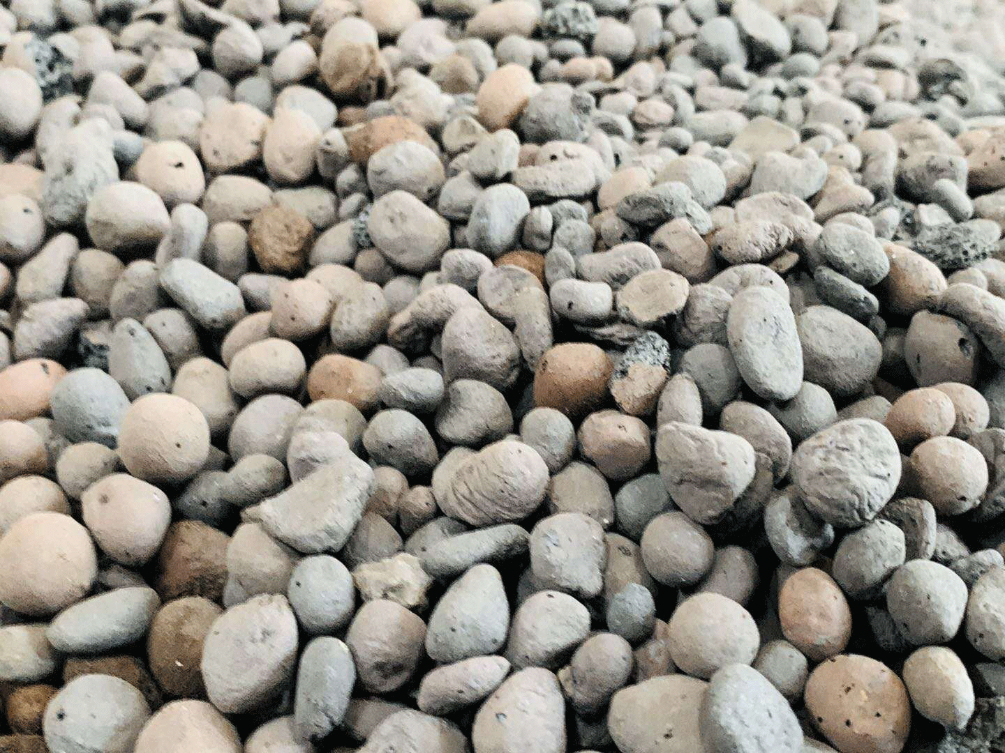 江西撫州陶粒廠發(fā)貨,價格便宜,陶粒強度好 江西撫州陶粒廠發(fā)貨,價格便宜,陶粒強度好